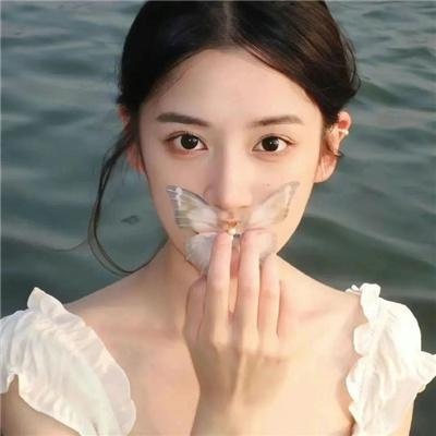 女王鲨